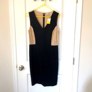 LBD w/Lace from DKNYC - new with tags!